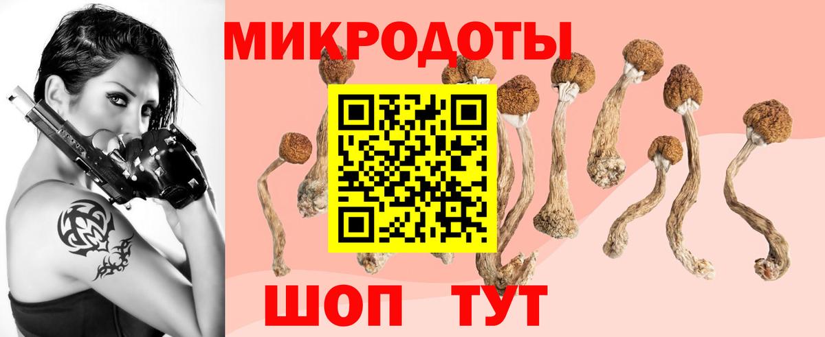 Псилоцибиновые грибы мухоморы Богородицк